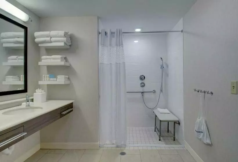 身障者適用キングサイズベッドルーム, Hampton Inn Boston  Westborough
