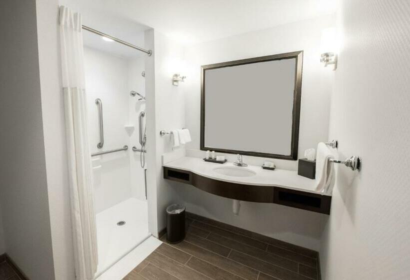 身障者適用キングサイズベッドルーム, Hilton Garden Inn Indiana At Iup