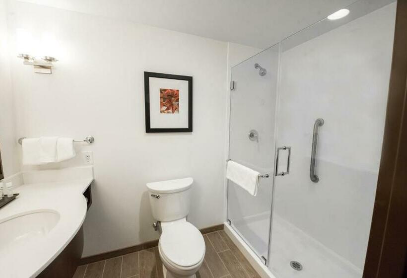 キングサイズベッドのスタンダードルーム, Hilton Garden Inn Indiana At Iup