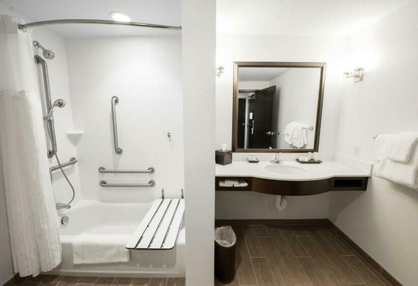 장애인을 위한 킹사이즈 침대 스탠다드 룸, Hilton Garden Inn Indiana At Iup