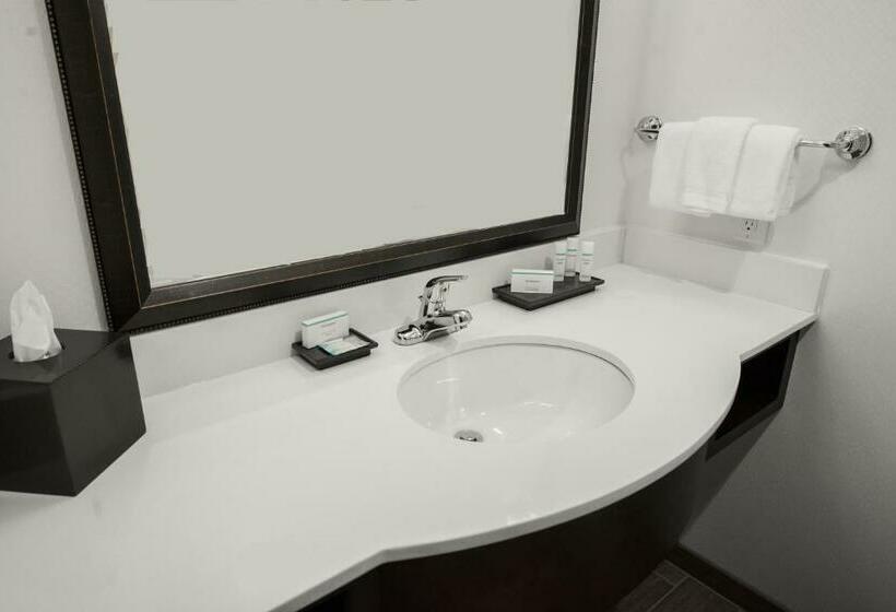 身障者適用キングサイズベッドルーム, Hilton Garden Inn Indiana At Iup