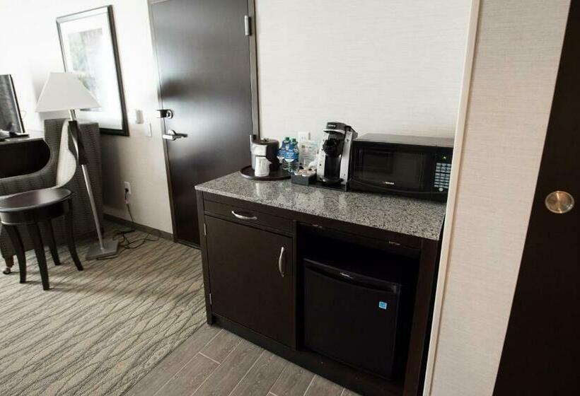 身障者適用キングサイズベッドルーム, Hilton Garden Inn Indiana At Iup