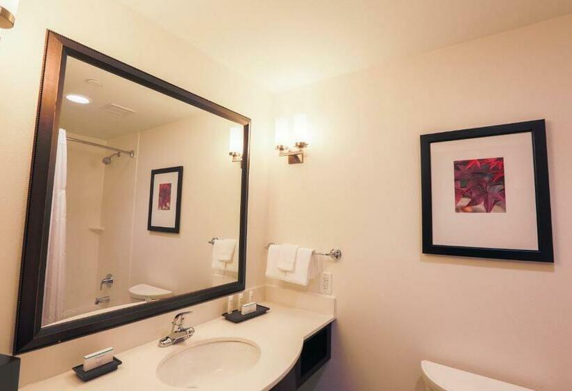 身障者適用キングサイズベッドルーム, Hilton Garden Inn Indiana At Iup