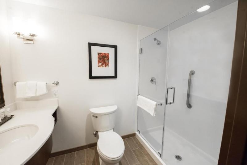 キングサイズベッドのスタンダードルーム, Hilton Garden Inn Indiana At Iup