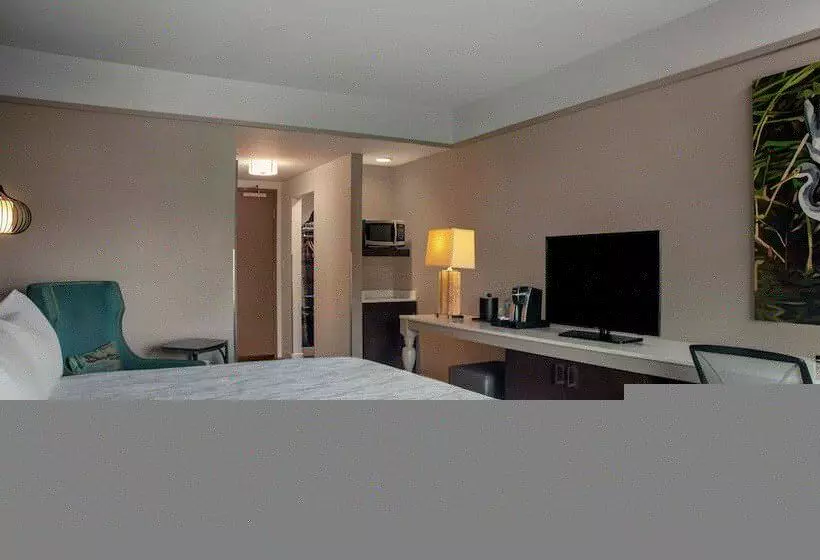 Standard Room King Bed Adapted for people with reduced mobility