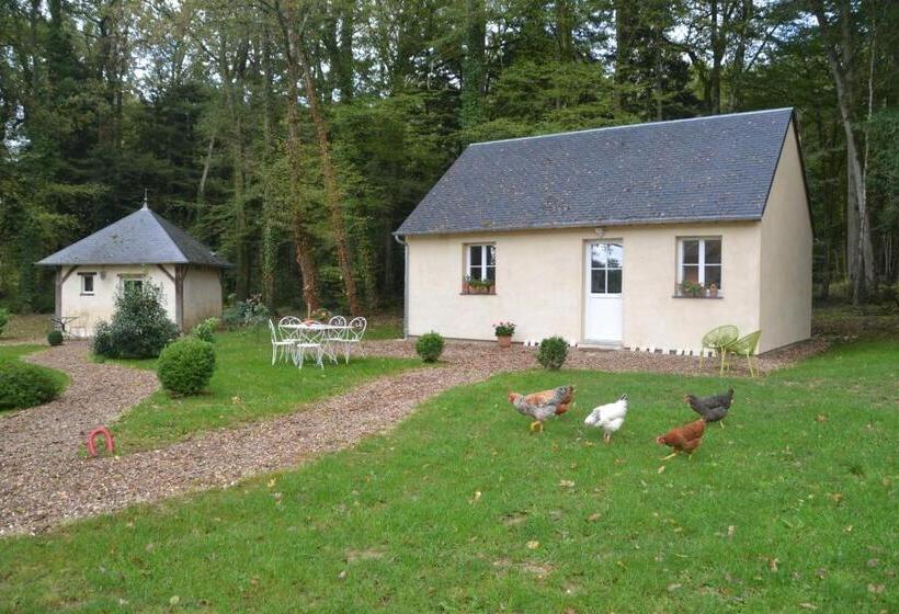 Бунгало Deluxe, Hôtel Les Grands Chênes