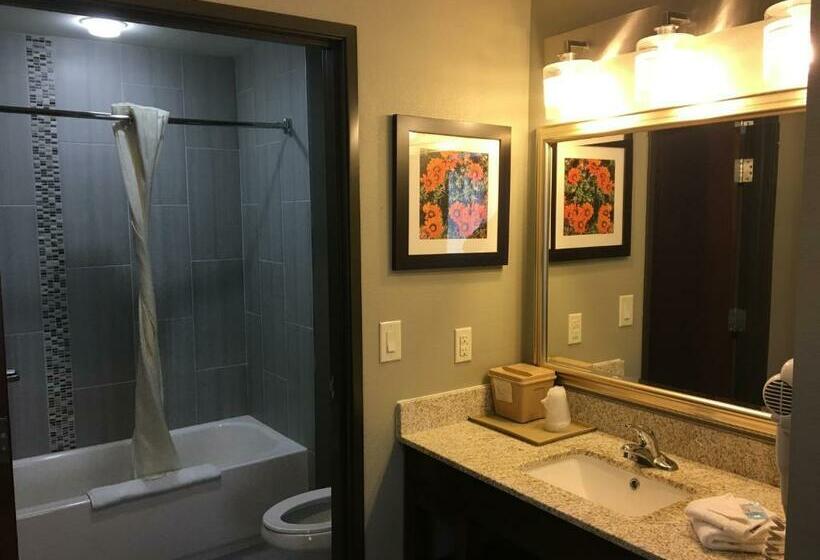 带大床的标准间, Mainstay Suites Hobbs