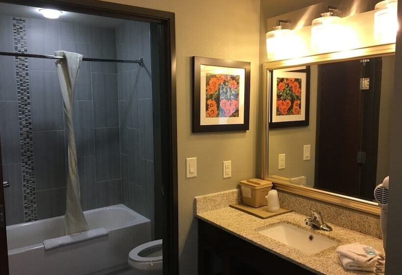 Люкс Адаптированный для Инвалидов, Mainstay Suites Hobbs