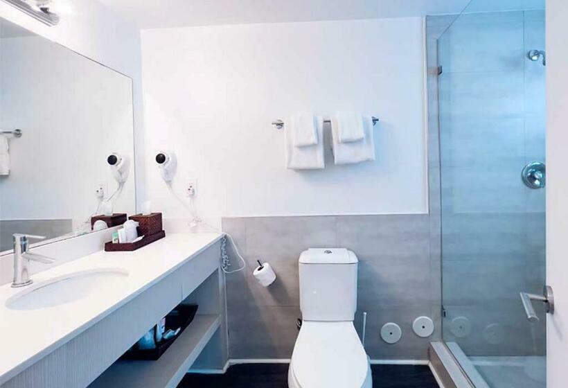 סוויטה, North Beach