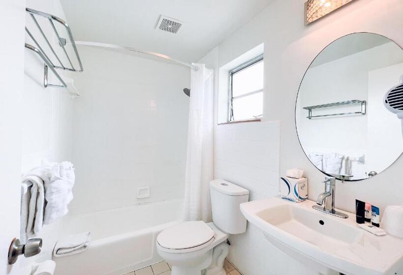 חדר סטודיו סטנדרד, North Beach