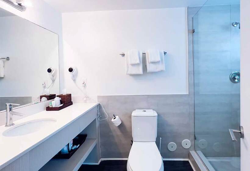 סוויטה, North Beach