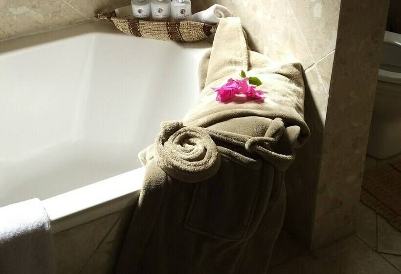 이그제큐티브 룸, Cape Flame Guest House