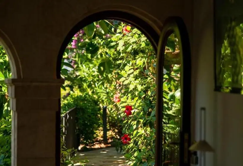 1 Bedroom Penthouse Apartment, Can Verdera
