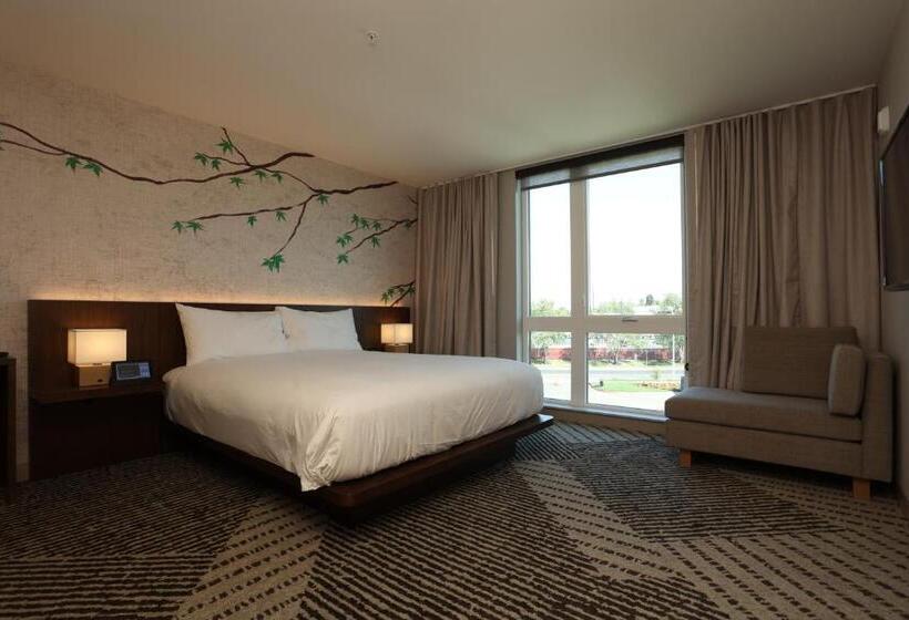 جناح, Cedartree Hotel Portland Hillsboro