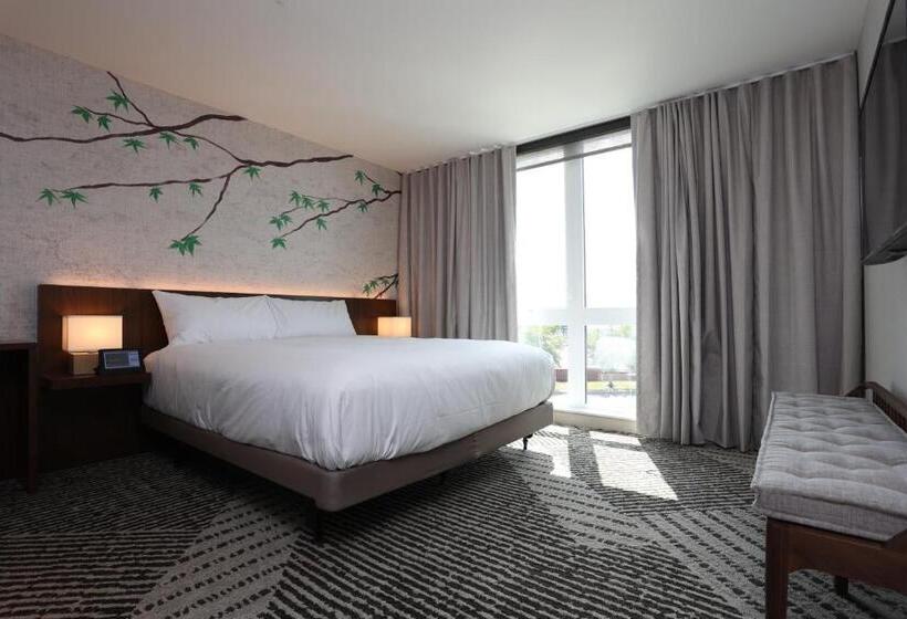 جناح, Cedartree Hotel Portland Hillsboro