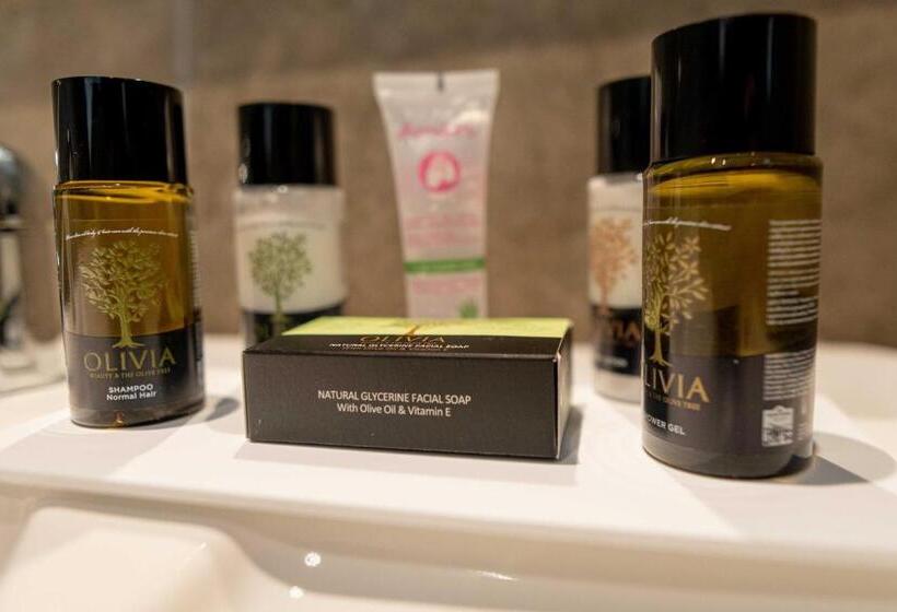 Quarto Estandar para Deficientes Físicos, Mirror