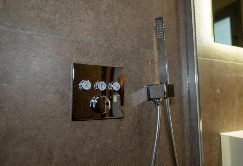 Quarto Estandar para Deficientes Físicos, Mirror