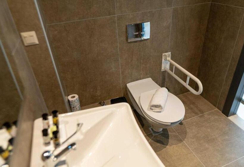 Quarto Estandar para Deficientes Físicos, Mirror