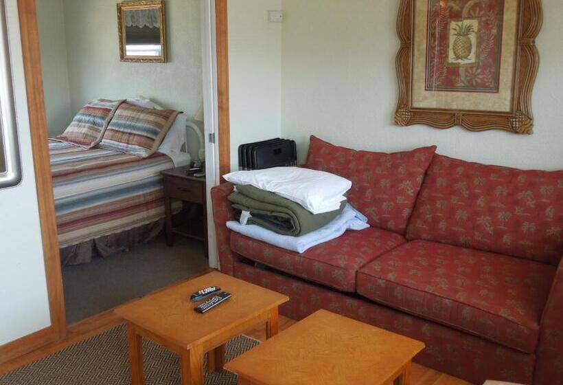 إستوديو قياسى, Sifting Sands Motel