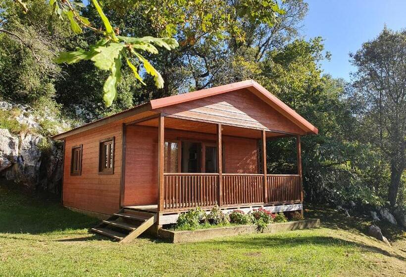 Бунгало Deluxe, Camping El Helguero