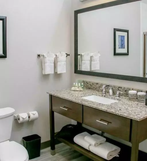 スタンダードルーム, Holiday Inn & Suites Denver Tech Center Centennial, An Ihg