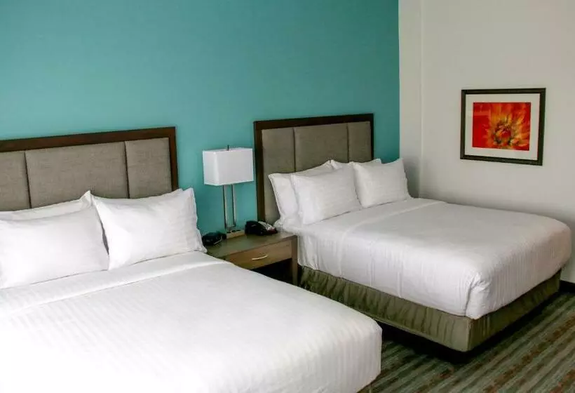 スタンダードルーム, Holiday Inn & Suites Denver Tech Center Centennial, An Ihg