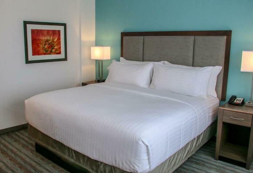 חדר סטנדרט עם מיטת קינג, Holiday Inn & Suites Denver Tech Center Centennial, An Ihg