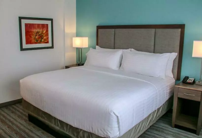 キングサイズベッドのスタンダードルーム, Holiday Inn & Suites Denver Tech Center Centennial, An Ihg