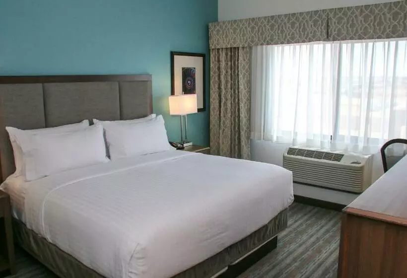 キングサイズベッドのスタンダードルーム, Holiday Inn & Suites Denver Tech Center Centennial, An Ihg