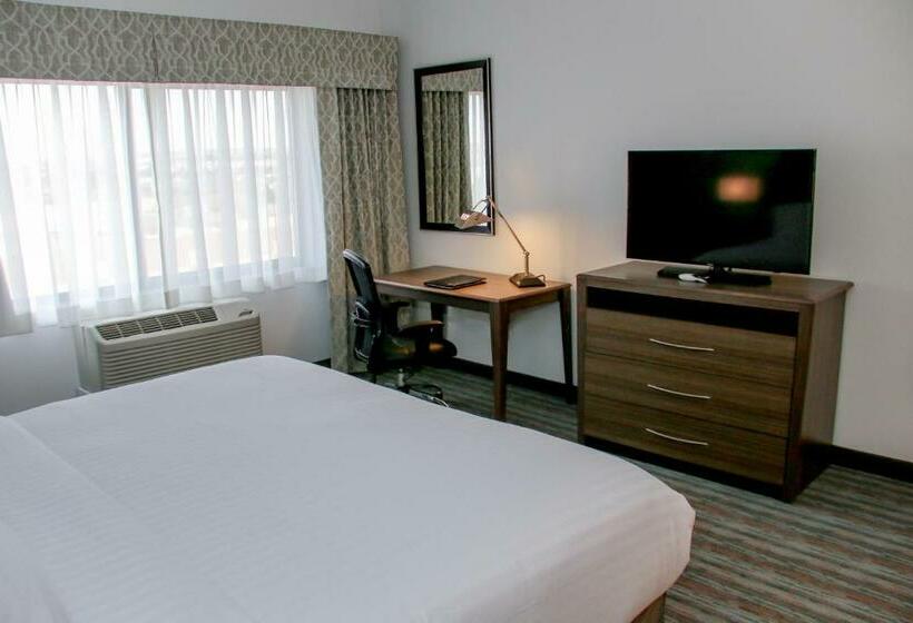 스탠다드 룸 킹사이즈 침대, Holiday Inn & Suites Denver Tech Center Centennial, An Ihg