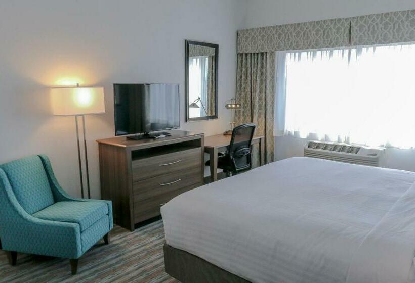 חדר סטנדרט עם מיטת קינג, Holiday Inn & Suites Denver Tech Center Centennial, An Ihg