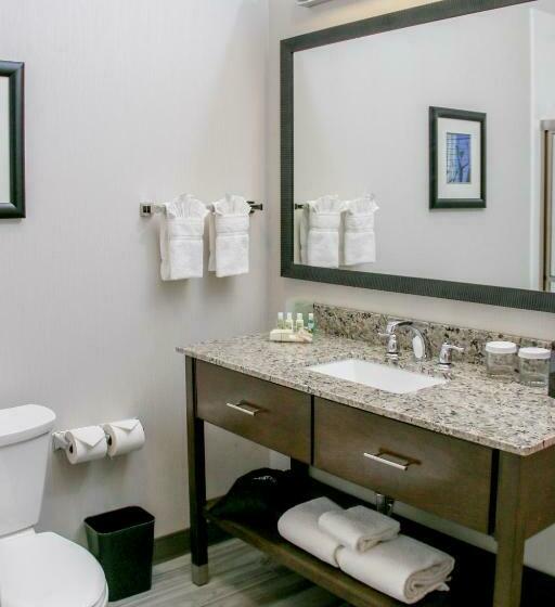 חדר סטנדרט עם מיטת קינג, Holiday Inn & Suites Denver Tech Center Centennial, An Ihg