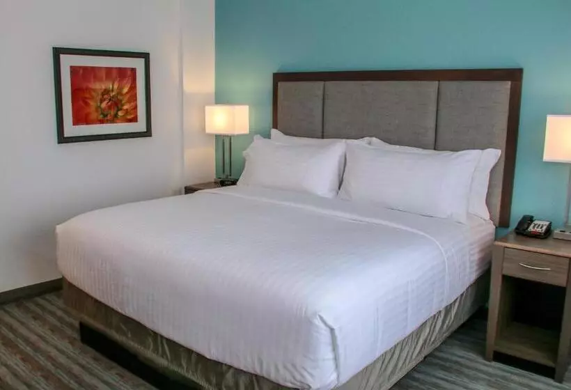 身障者適用キングサイズベッドルーム, Holiday Inn & Suites Denver Tech Center Centennial, An Ihg