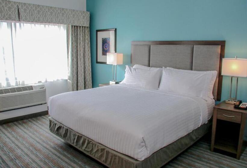 חדר סטנדרט, מיטת קינג, מותאם לאדם עם מוגבלויות, Holiday Inn & Suites Denver Tech Center Centennial, An Ihg