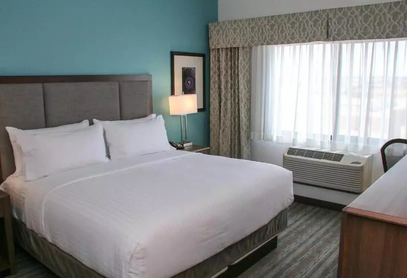 身障者適用キングサイズベッドルーム, Holiday Inn & Suites Denver Tech Center Centennial, An Ihg