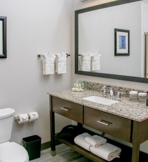 Номер Стандарт Кровать Кинг Адаптированный для Инвалидов, Holiday Inn & Suites Denver Tech Center Centennial, An Ihg