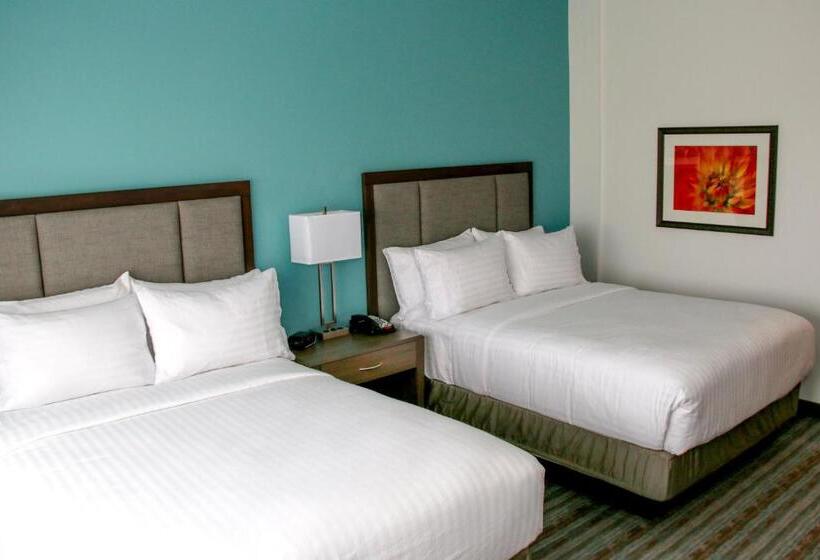 스탠다드 룸 킹사이즈 침대, Holiday Inn & Suites Denver Tech Center Centennial, An Ihg