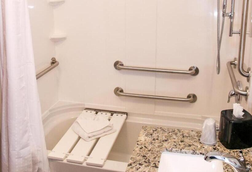 חדר סטנדרט עם מיטת קינג, Holiday Inn & Suites Denver Tech Center Centennial, An Ihg