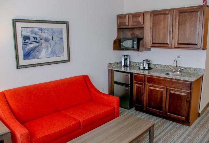 סוויטה מותאמת לאדם עם מוגבלויות, Holiday Inn & Suites Denver Tech Center Centennial, An Ihg