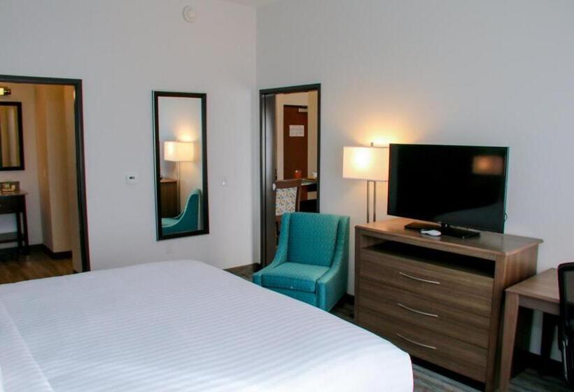 סוויטה אקזקיוטיב, Holiday Inn & Suites Denver Tech Center Centennial, An Ihg