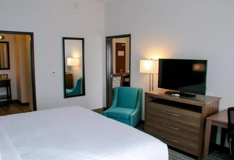 エクゼクティブスイート, Holiday Inn & Suites Denver Tech Center Centennial, An Ihg