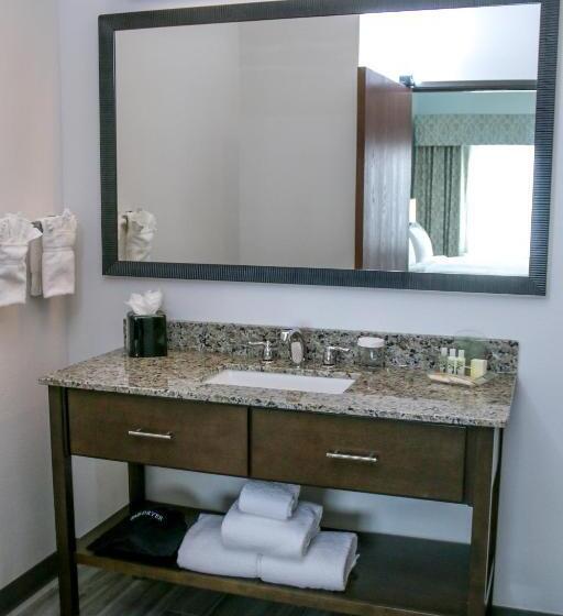 Президентский Люкс, Holiday Inn & Suites Denver Tech Center Centennial, An Ihg