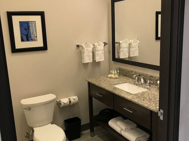 Номер Стандарт, Holiday Inn & Suites Denver Tech Center Centennial, An Ihg