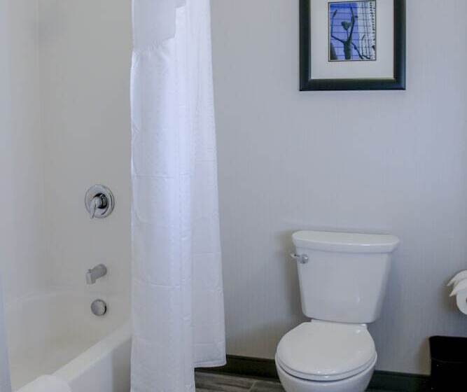 חדר סטנדרט, Holiday Inn & Suites Denver Tech Center Centennial, An Ihg