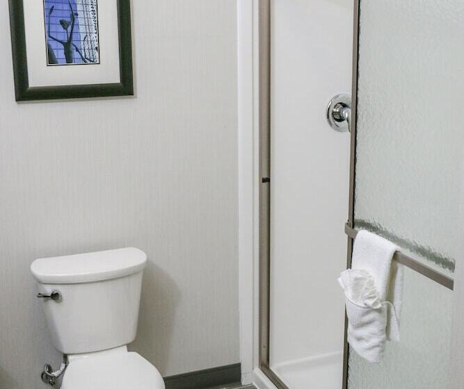 스탠다드 룸, Holiday Inn & Suites Denver Tech Center Centennial, An Ihg