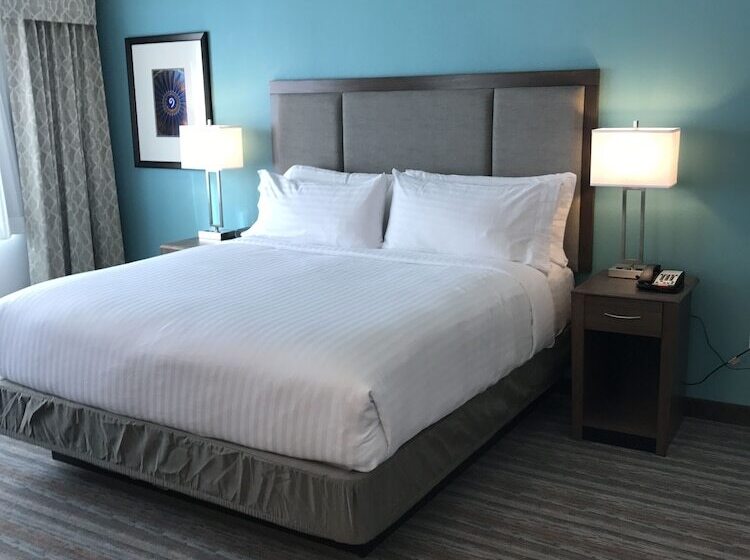 Люкс Адаптированный для Инвалидов, Holiday Inn & Suites Denver Tech Center Centennial, An Ihg