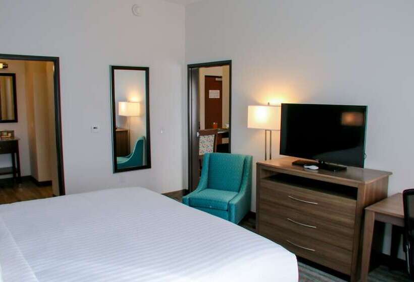 סוויטה מותאמת לאדם עם מוגבלויות, Holiday Inn & Suites Denver Tech Center Centennial, An Ihg