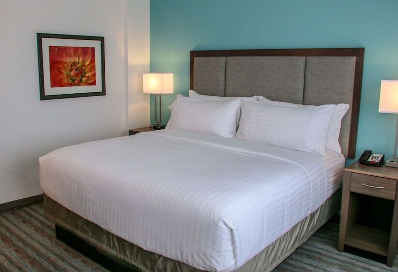 סוויטה מותאמת לאדם עם מוגבלויות, Holiday Inn & Suites Denver Tech Center Centennial, An Ihg