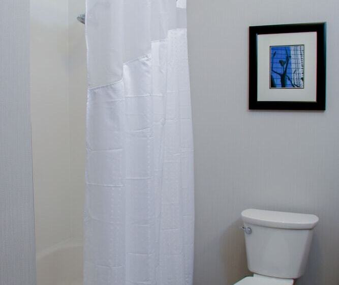 חדר סטנדרט, Holiday Inn & Suites Denver Tech Center Centennial, An Ihg