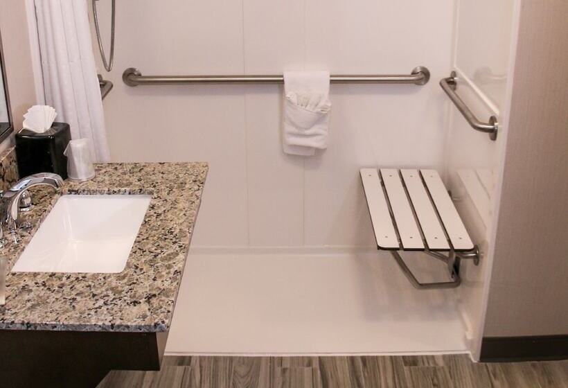 סוויטה מותאמת לאדם עם מוגבלויות, Holiday Inn & Suites Denver Tech Center Centennial, An Ihg